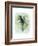 Paradise Palm Leaves I-Grace Popp-Framed Premium Giclee Print