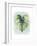 Paradise Palm Leaves I-Grace Popp-Framed Premium Giclee Print