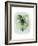 Paradise Palm Leaves I-Grace Popp-Framed Premium Giclee Print