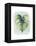 Paradise Palm Leaves I-Grace Popp-Framed Stretched Canvas