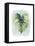 Paradise Palm Leaves I-Grace Popp-Framed Stretched Canvas