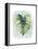 Paradise Palm Leaves I-Grace Popp-Framed Stretched Canvas