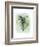 Paradise Palm Leaves I-Grace Popp-Framed Art Print