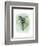 Paradise Palm Leaves I-Grace Popp-Framed Art Print