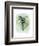 Paradise Palm Leaves I-Grace Popp-Framed Art Print