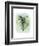 Paradise Palm Leaves I-Grace Popp-Framed Art Print