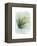 Paradise Palm Leaves II-Grace Popp-Framed Stretched Canvas