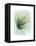 Paradise Palm Leaves II-Grace Popp-Framed Stretched Canvas