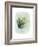Paradise Palm Leaves II-Grace Popp-Framed Premium Giclee Print