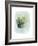 Paradise Palm Leaves II-Grace Popp-Framed Premium Giclee Print