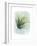 Paradise Palm Leaves II-Grace Popp-Framed Premium Giclee Print