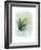 Paradise Palm Leaves II-Grace Popp-Framed Premium Giclee Print