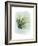 Paradise Palm Leaves II-Grace Popp-Framed Premium Giclee Print