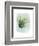 Paradise Palm Leaves II-Grace Popp-Framed Art Print