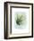 Paradise Palm Leaves II-Grace Popp-Framed Art Print