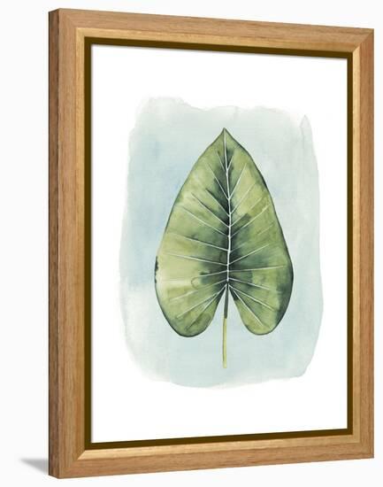 Paradise Palm Leaves III-Grace Popp-Framed Stretched Canvas