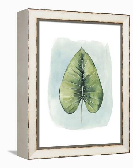 Paradise Palm Leaves III-Grace Popp-Framed Stretched Canvas