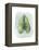 Paradise Palm Leaves III-Grace Popp-Framed Stretched Canvas