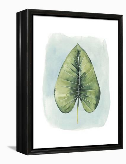 Paradise Palm Leaves III-Grace Popp-Framed Stretched Canvas