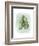 Paradise Palm Leaves III-Grace Popp-Framed Art Print