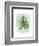 Paradise Palm Leaves III-Grace Popp-Framed Art Print