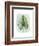 Paradise Palm Leaves III-Grace Popp-Framed Art Print