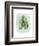 Paradise Palm Leaves III-Grace Popp-Framed Art Print