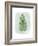 Paradise Palm Leaves IV-Grace Popp-Framed Premium Giclee Print