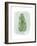 Paradise Palm Leaves IV-Grace Popp-Framed Premium Giclee Print