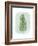 Paradise Palm Leaves IV-Grace Popp-Framed Premium Giclee Print