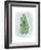 Paradise Palm Leaves IV-Grace Popp-Framed Premium Giclee Print