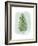 Paradise Palm Leaves IV-Grace Popp-Framed Premium Giclee Print