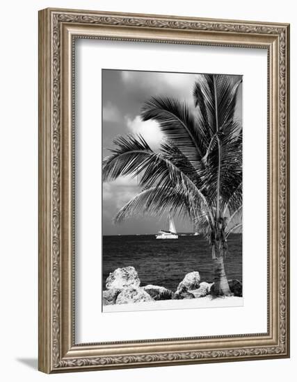 Paradise Palm Tree with a Sailboat on the Ocean - Florida-Philippe Hugonnard-Framed Photographic Print