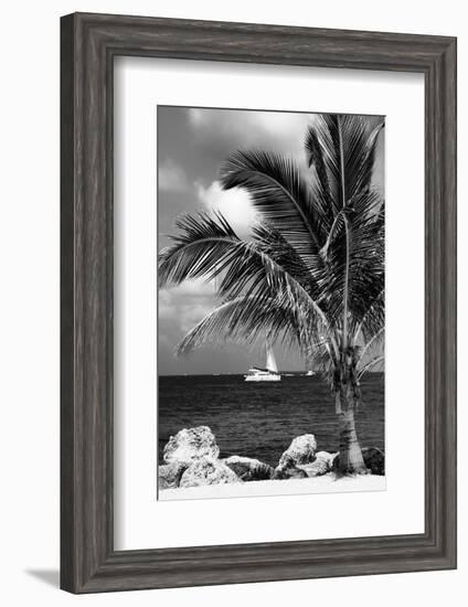 Paradise Palm Tree with a Sailboat on the Ocean - Florida-Philippe Hugonnard-Framed Photographic Print