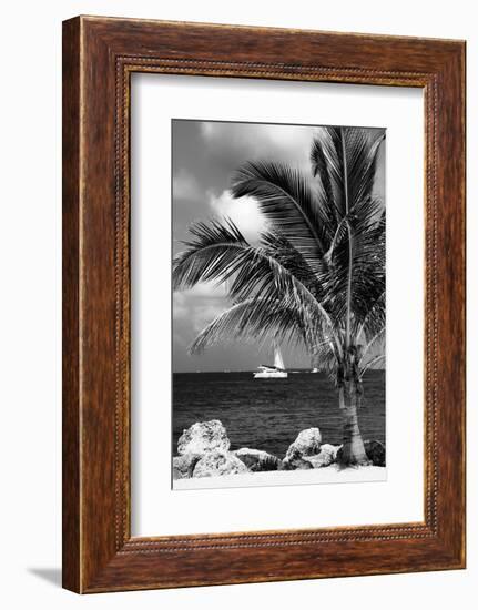 Paradise Palm Tree with a Sailboat on the Ocean - Florida-Philippe Hugonnard-Framed Photographic Print