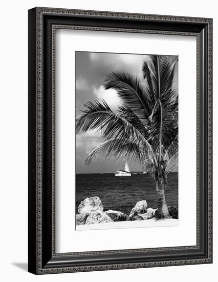 Paradise Palm Tree with a Sailboat on the Ocean - Florida-Philippe Hugonnard-Framed Photographic Print