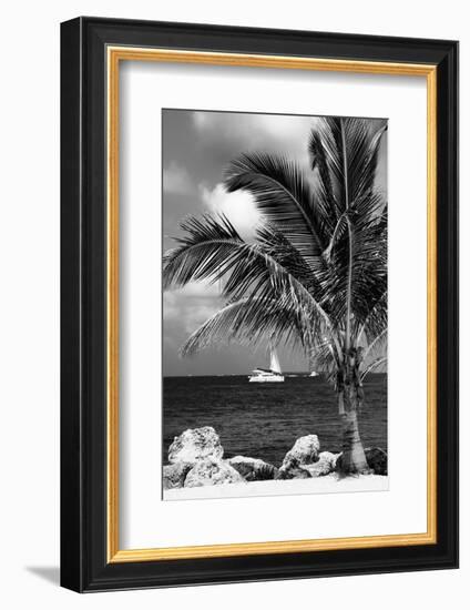 Paradise Palm Tree with a Sailboat on the Ocean - Florida-Philippe Hugonnard-Framed Photographic Print