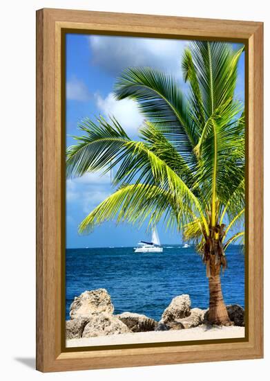 Paradise Palm Tree with a Sailboat on the Ocean - Florida-Philippe Hugonnard-Framed Premier Image Canvas