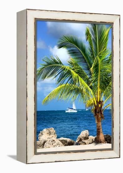 Paradise Palm Tree with a Sailboat on the Ocean - Florida-Philippe Hugonnard-Framed Premier Image Canvas