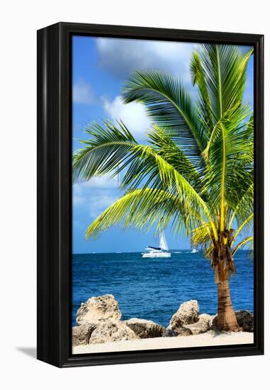 Paradise Palm Tree with a Sailboat on the Ocean - Florida-Philippe Hugonnard-Framed Premier Image Canvas