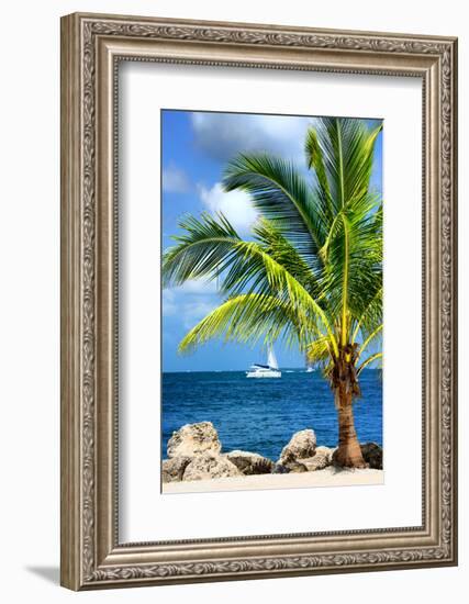 Paradise Palm Tree with a Sailboat on the Ocean - Florida-Philippe Hugonnard-Framed Photographic Print