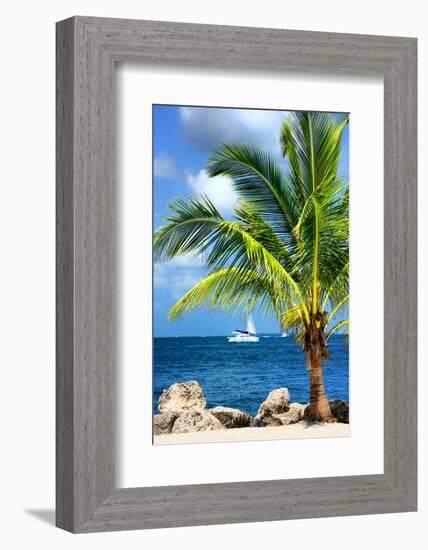 Paradise Palm Tree with a Sailboat on the Ocean - Florida-Philippe Hugonnard-Framed Photographic Print