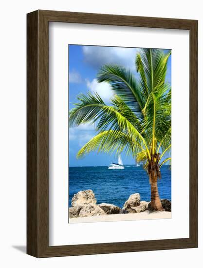 Paradise Palm Tree with a Sailboat on the Ocean - Florida-Philippe Hugonnard-Framed Photographic Print