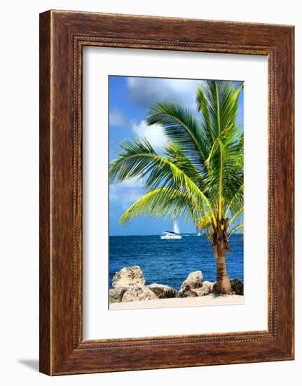 Paradise Palm Tree with a Sailboat on the Ocean - Florida-Philippe Hugonnard-Framed Photographic Print