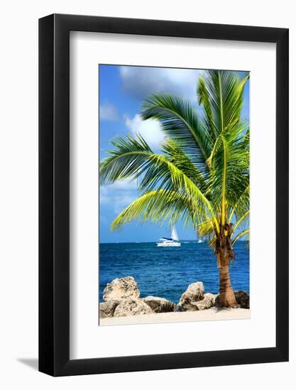 Paradise Palm Tree with a Sailboat on the Ocean - Florida-Philippe Hugonnard-Framed Photographic Print