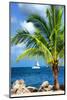 Paradise Palm Tree with a Sailboat on the Ocean - Florida-Philippe Hugonnard-Mounted Photographic Print