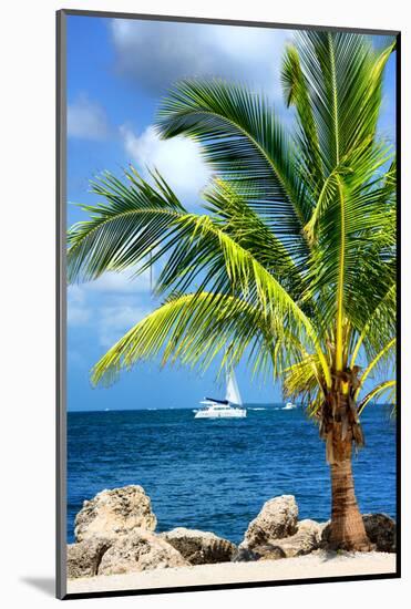 Paradise Palm Tree with a Sailboat on the Ocean - Florida-Philippe Hugonnard-Mounted Photographic Print