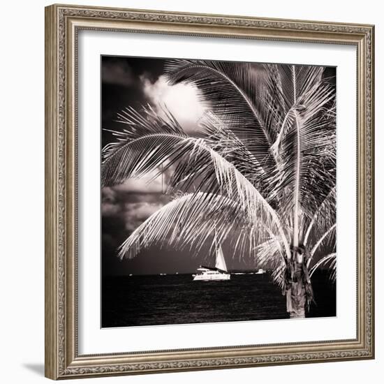 Paradise Palm Tree with a Sailboat on the Ocean - Florida-Philippe Hugonnard-Framed Photographic Print