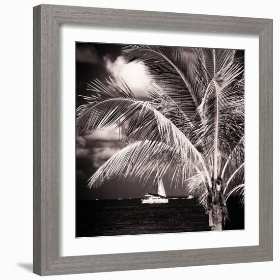 Paradise Palm Tree with a Sailboat on the Ocean - Florida-Philippe Hugonnard-Framed Photographic Print
