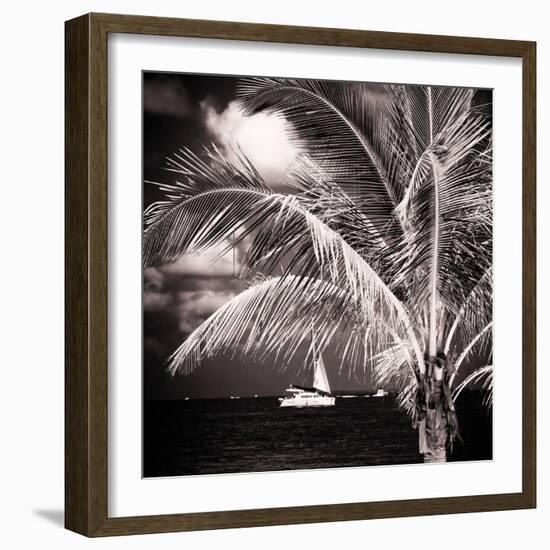 Paradise Palm Tree with a Sailboat on the Ocean - Florida-Philippe Hugonnard-Framed Photographic Print